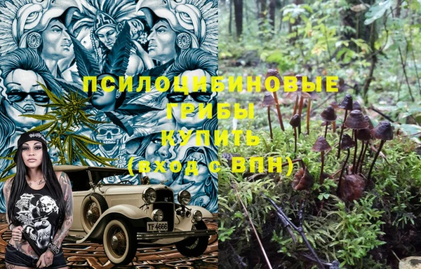 гашик Балабаново