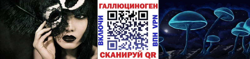 блэк спрут зеркало  дарнет шоп  Гаврилов Посад  Галлюциногенные грибы MAGIC MUSHROOMS 